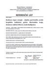 Document Icon